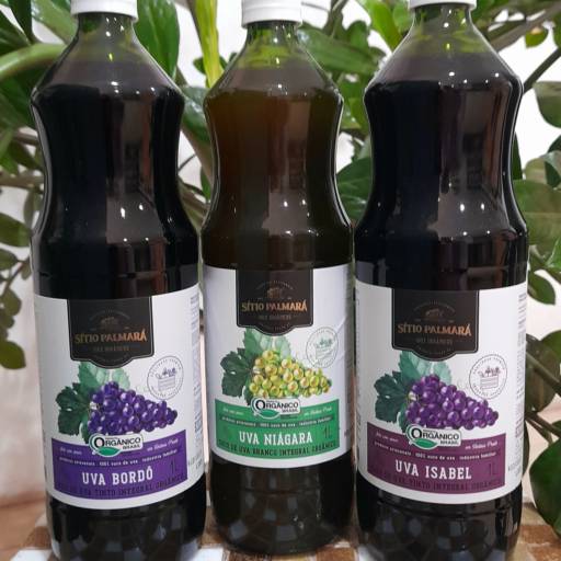 Sucos Orgânicos Naturais – Puro Sabor em São Manuel em São Manuel, SP por Empório Oliveira