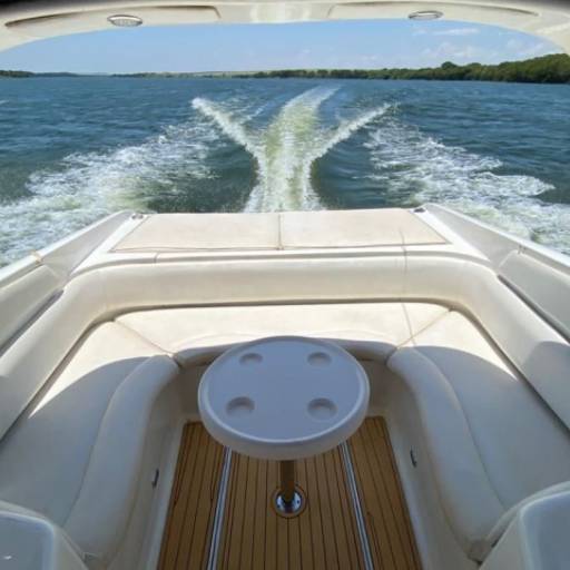 Lancha Runner 335 por Guia de Pesca Esportiva 