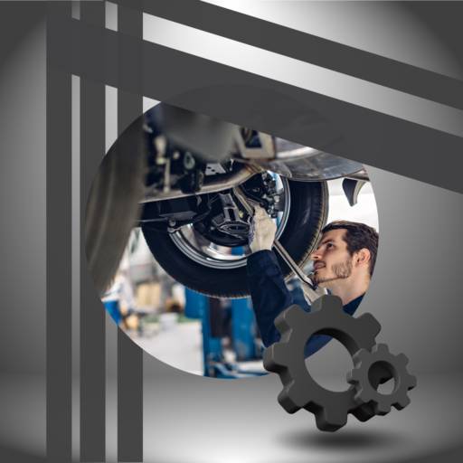 Elevador próprio para desmontagem e análise detalhada do veículo