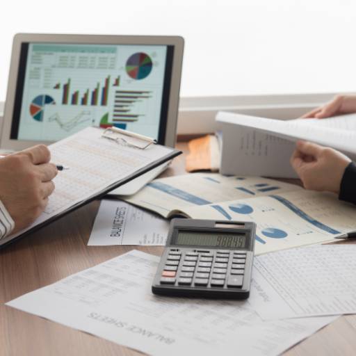 Consultoria para Planejamento de Obras – Gestão Financeira no Ninho Verde II