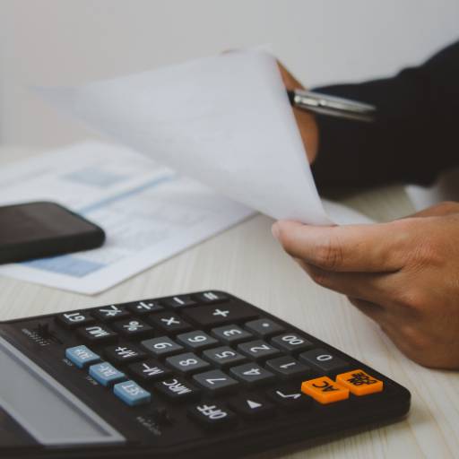 Declaração de MEI no Ninho Verde II – Fique Regular com sua DASN Anual