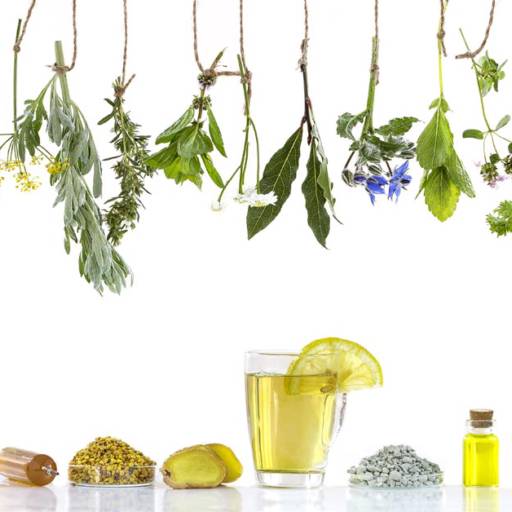 Fitoterápicos em Aracaju, SE por Natus Produtos Naturais