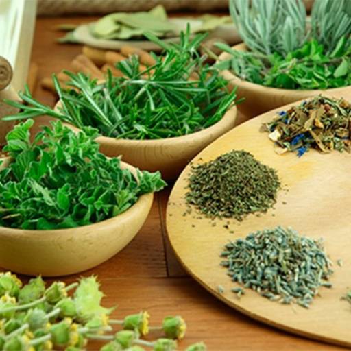 Fitoterápicos em Aracaju, SE por Natus Produtos Naturais