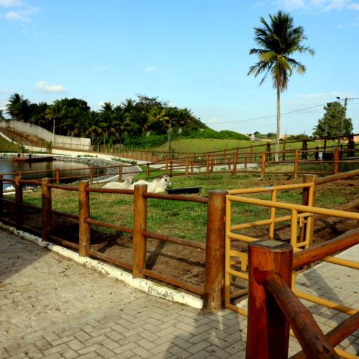 Pergolado, Quiosque, Cerca, Parque Infantil, Curral e Escora para Plantação: Soluções de Madeira Tratada para Diversas Necessidades em Petrolina/MG por Madeireira Eucaliptus