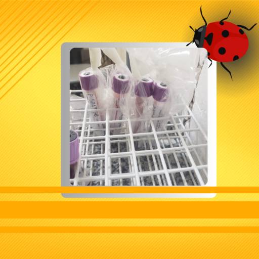 Transporte de amostrar de sangue, hemocomponetes, hemoderivados