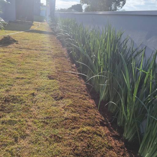 Beleza Natural com Paisagismo – Serviço realizado no Jardim Frito no Riviera Santa Cristina I por Live Art