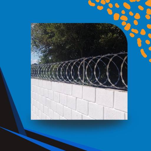 Concertinas Espiral Classica por Viva Seguro Concertinas