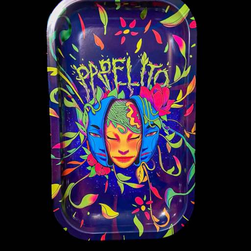 Bandeja de Metal Grande (Papelito) em Salvador – Estilo e Funcionalidade por Sr.Tabas