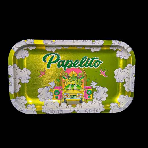 Bandeja de Metal Grande (Papelito) em Salvador – Organização e Praticidade por Sr.Tabas