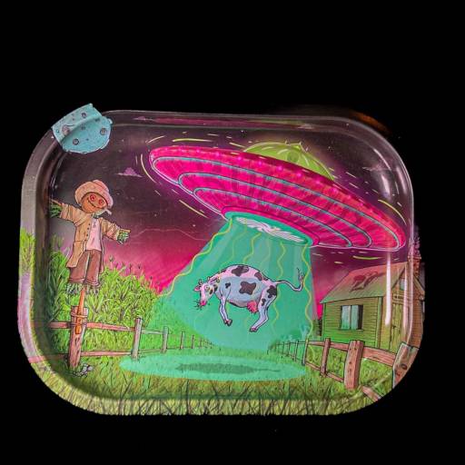 Bandeja de Metal Pequena (Abduzido) em Salvador – Praticidade no seu Dia a Dia por Sr.Tabas