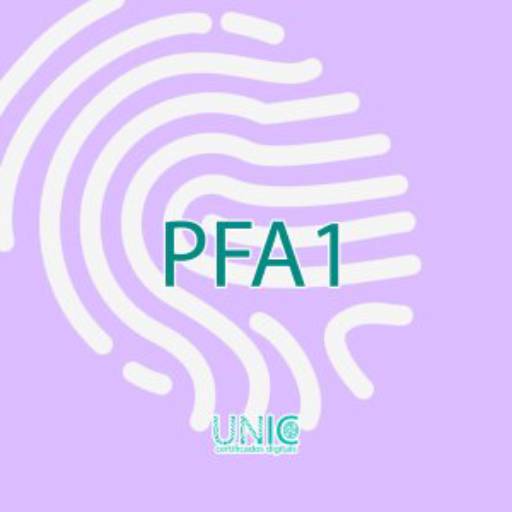 Certificado Digital PFA1 em São Paulo – Segurança e Validade para Documentos Fiscais por Unic - Certificados Digitais