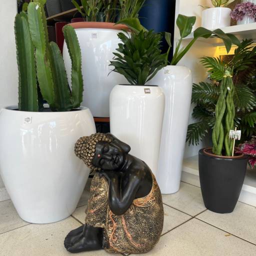 Objetos Decorativos  por Vasos Decor