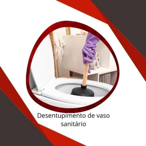 Desentupimento de vaso sanitário