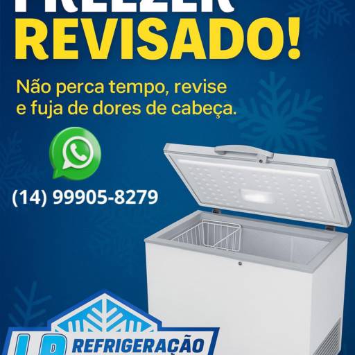 Revisão em Freezer