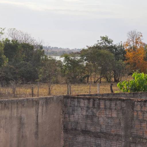 Rancho do Zé Luis da Padaria - Rancho 2 por Rancho do Zé Luis da Padaria