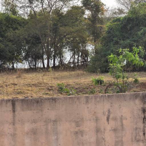 Rancho do Zé Luis da Padaria - Rancho 2 por Rancho do Zé Luis da Padaria