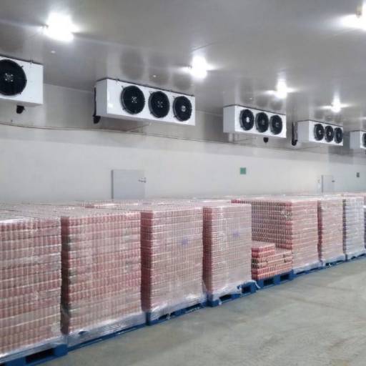 Projetos e Execução de Câmaras Frias - Soluções Sob Medida em Olímpia por Refrigeração Refri - Técnica