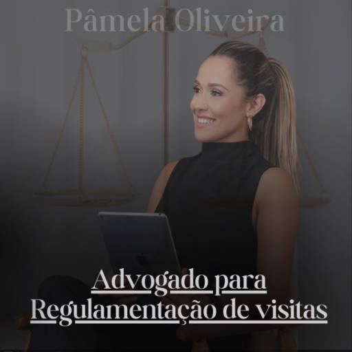 Advogado para Regulamentação de visitas