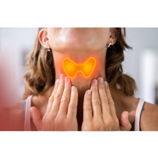 Disfunção da Tireoide na Menopausa