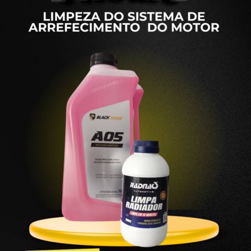Limpeza do Sistema de Arrefecimento do Motor – A partir de R$ 250,00 (Produto + Mão de Obra)