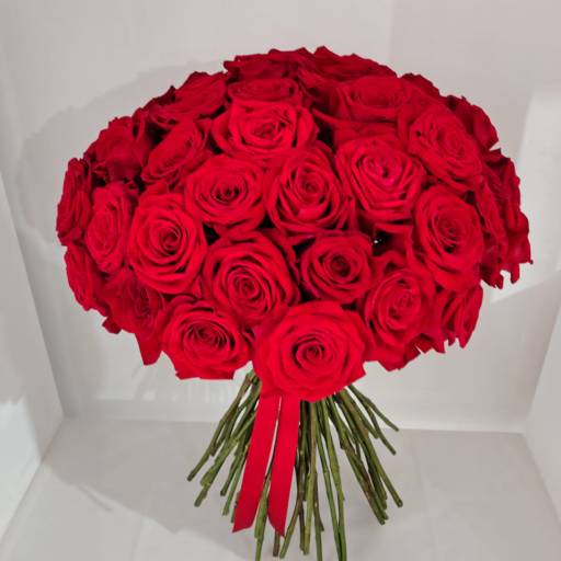 Te Amo Infinitamente