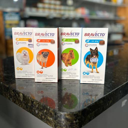 Bravecto - Diversos Pesos por Animais & Cia