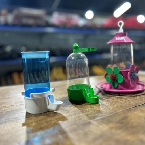 Bebedouro para Pássaros 