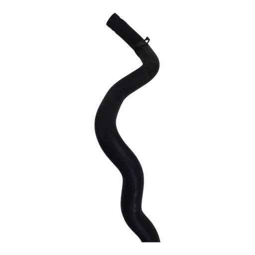 Mangueira Direção Renault Clio 1.0 2008 Original Usado