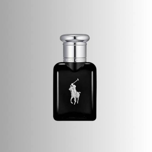 Perfume Polo Black - Cris Scudeletti, São Manuel, SP por Cris Scudeletti