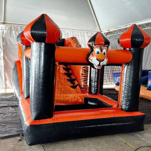 Mini Tobogã com Piscina Tigrinho