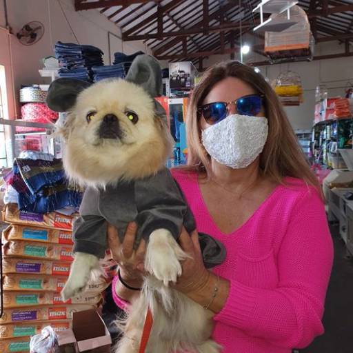 Roupinhas para Animais - Conforto e Estilo para Cães e Gatos em São Manuel/SP por Dog Boy
