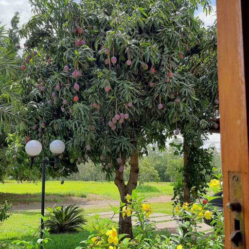 CASA NO THERMAS DE SANTA BÁRBARA em Avaré, SP por Imobiliária Avareense
