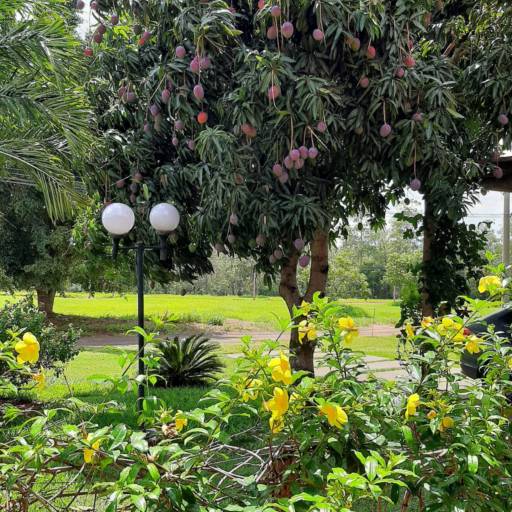 CASA NO THERMAS DE SANTA BÁRBARA em Avaré, SP por Imobiliária Avareense