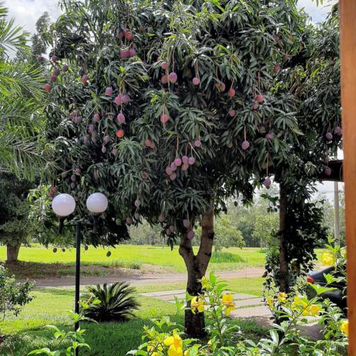 CASA NO THERMAS DE SANTA BÁRBARA em Avaré, SP por Imobiliária Avareense