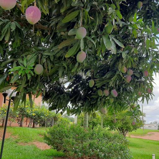 CASA NO THERMAS DE SANTA BÁRBARA em Avaré, SP por Imobiliária Avareense