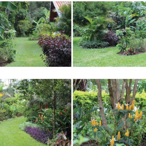 CHÁCARA À VENDA em Avaré, SP por Imobiliária Avareense