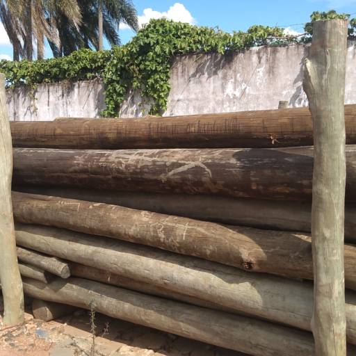 Eucalipto Tratado - Repique, Palanque, Mourão e Poste  em Avaré, SP por Usina de Preservação de Madeiras Jatobá