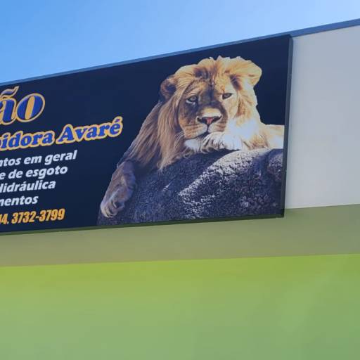 Desentupidora em Paranapanema - Solução Rápida e Profissional para Entupimentos por Leão Desentupidora