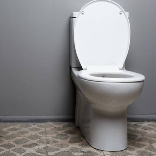 Desentupimento de Vaso Sanitário