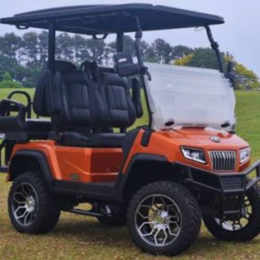 Carrinho de Golf Fazenda Boa Vista