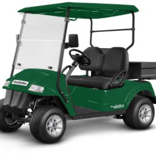 Golf Cart Fazenda Boa Vista