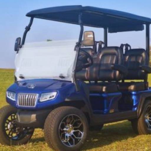 Carrinhos de Golfe para Resorts Fazenda Boa Vista por Carrinho Elétrico & CIA