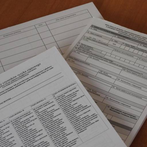 Certidões com Despachantes em Pará de Minas - Rápido e Sem Erros por Tiago Despachante - Despachante Veicular em Pará de Minas - MG Certidões com Despachantes em Pará de Minas - Rápido e Sem Erros por Tiago Despachante - Despachante Veicular em Pará de Minas - MG