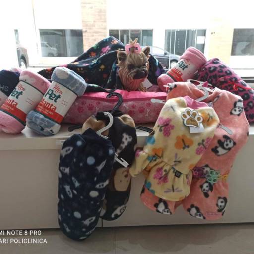 Roupinhas para Pet por Genari Policlínica