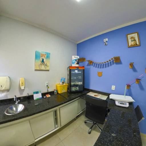 Ambulatório Cat Friendly em Itatinga: Cuidado Especializado para Gatos