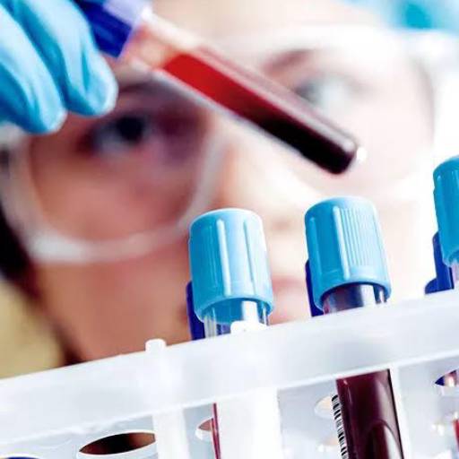 Laboratório para análises clínicas de animais