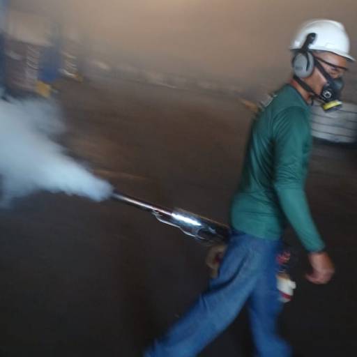 Fumacê para Controle de Pragas de Grãos Armazenado, Inseto Silvestres e Insetos Alados por DDCIPÓ Controle Integrado de Pragas Urbanas (DETI)