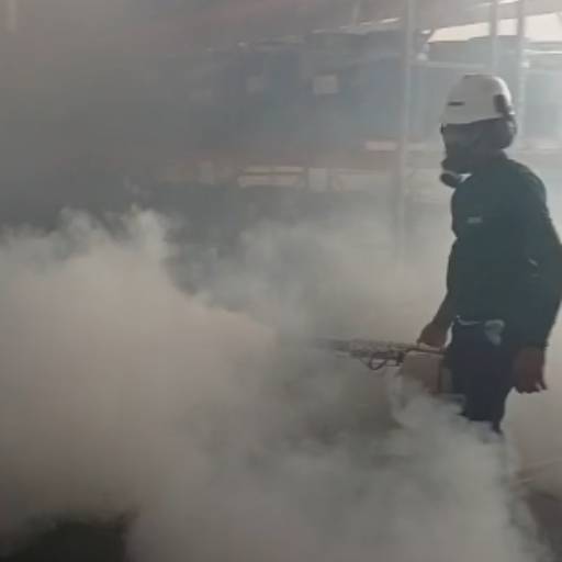 Dedetizadoras em Laranjal Paulista – Tenebolização Eficaz Contra Pombos e Pragas