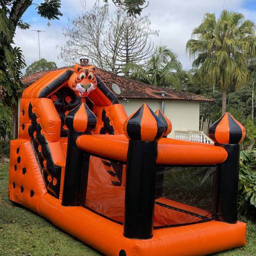Tobogã Tigrinho - Diversão e Alegria para Sua Festa em Mogi das Cruzes