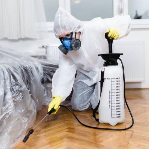 Dedetização de Pragas - Proteção Completa em Assis/SP